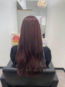 Hair Salon for D style - Hair Salon for D掲載
