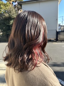インナーカラー - Luxury Salon Wish掲載