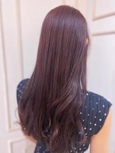 【cropes辻堂 斉藤】バーガンディカラー - crop-es湘南辻堂掲載