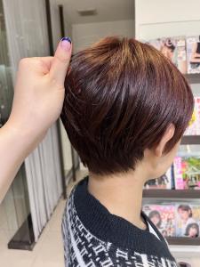 cherry brown - crop-es茅ヶ崎掲載