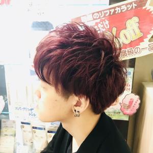 20代30代/ツーブロック/刈り上げ/ブリーチ/ワインレッド - QUALIS 赤塚店掲載
