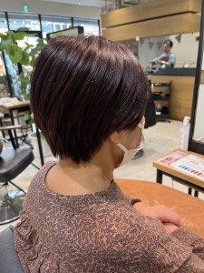 まとまるショート - KENJE 南林間掲載
