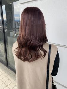 【 pignon 】pink violet - 髪質改善 SEPT. 天神大名掲載
