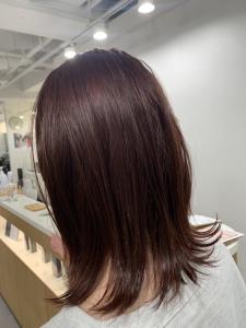 ワインレッドブラウン - Hair Salon SHIAN橋本店掲載