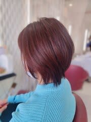 20代30代大人ショートボブｘ小顔ウルフカット丸みショート - QUALIS 赤塚店掲載