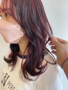 Autumn ボルドーレッド　韓国巻き - sifa掲載