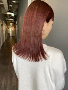 《kitin吉祥寺》透け感　チェリーレット - kitin 吉祥寺掲載