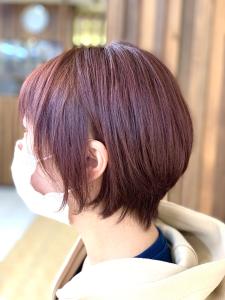 20代30代40代大人可愛いピンクラベンダーショートボブ - QUALIS 上福岡店掲載