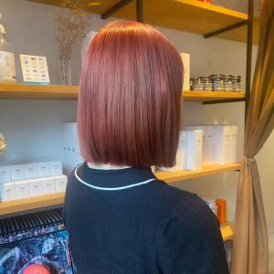 コーラルピンク - EIGHT fukuoka 福岡天神店掲載