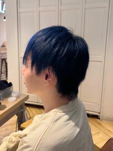 ネイビーブルージュ × ショートウルフ - ROMA【ローマ】銀座店掲載