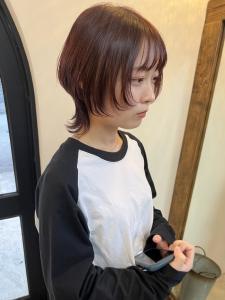 ウルフカット - Cherim boat掲載