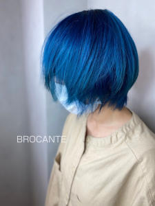  test - BROCANTE LUXBEブロカントラックスビー立川北口店掲載