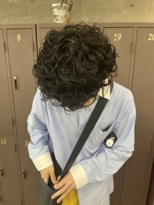 プードルパーマ - Union掲載