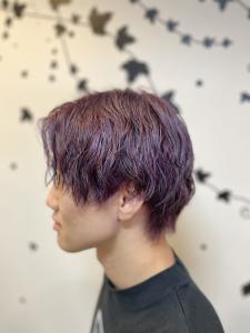 ダブルカラー - Pulchra hair掲載
