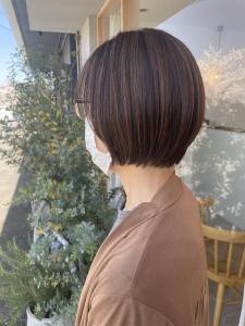 short bob × brown beige - 全席個室型美容室 GALLARIA Elegante各務原店掲載