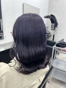 ブルーラベンダー - prize 所沢【プライズ】所沢プロペ通り店掲載