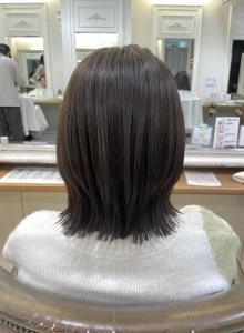 レイヤーボブ　赤味消しオリーブグレージュ - Neolive aim 横浜店掲載