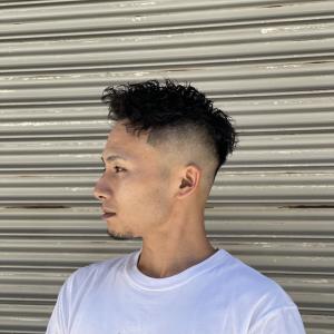 強強ツイスパ - ドルクス日本橋掲載