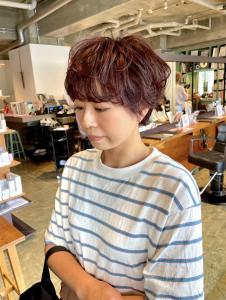 【ゆるふわ◎】マッシュショート×パーマ - COLETTE 【コレット】掲載