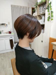 ノンジアミンカラー　襟足短めなショートスタイルです - 猫と三日月掲載