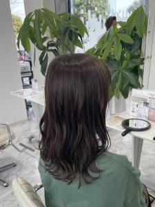 オリーブベージュ - HEARTS hair's五日市店掲載