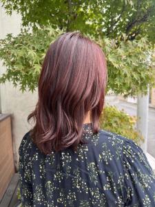 冬服にもピッタリ赤味カラー - EMU international 春日部本店掲載