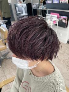 バイオレットアッシュ×メンズマッシュ10代20代30代所沢 - agir hair 所沢 【アジールヘア】 所沢プロペ通り店掲載