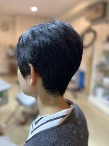 ショートレイヤー - artfield掲載