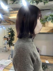 ダークラベンダー