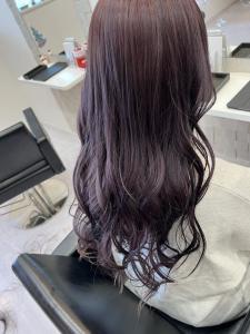 濃いめパープル - K&K hair design つつじが丘店掲載