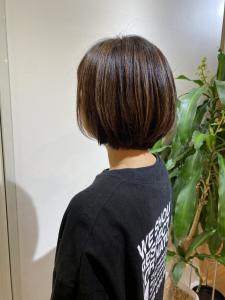 ボブ
