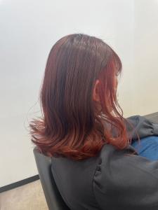 Hair Salon for D - Hair Salon for D掲載