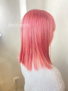 test - BROCANTE LUXBEブロカントラックスビー立川北口店掲載