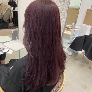 《花屋併設》ピンクラベンダーカラー - re’ll*花屋併設の美容院*掲載