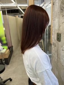 ◆リンゴ幹細胞トリートメン/レッドブラウン/髪質改善 - 【ヘアケア特化型サロン】newi 梅田掲載