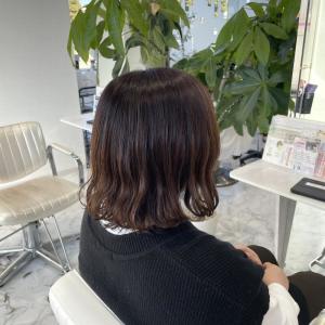 ボブ - HEARTS hair's五日市店掲載