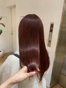 wine red - CLEO hair international 八丁堀店掲載