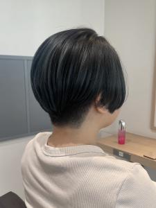 マッシュショート - BASSA野方掲載