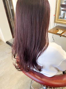 ピンクパープルカラー×ハイライト - Lourdes hair design掲載
