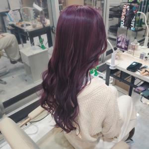 カシスパープル - Fave掲載