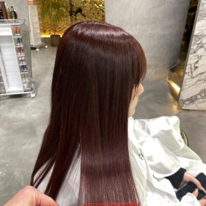 レッドブラウン - Lanisis Hair掲載