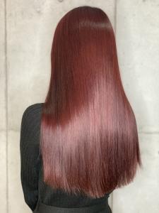 最高品質美髪艶髪ストレート - newi 所沢掲載
