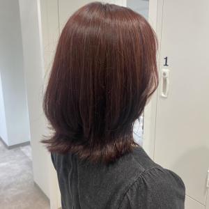 【鮫嶋】前上がりレイヤー×レッドブラウン - 【完全個室サロン】tocca hair&treatment 浅草店【トッカ】掲載