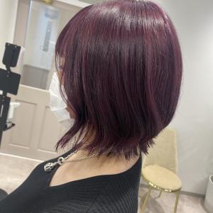 【鮫嶋】ブリーチ1～２回☆ブロッサムピンク - 【完全個室サロン】tocca hair&treatment 浅草店【トッカ】掲載
