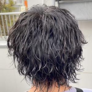 ミニウルフ - NEXT men's 表参道【ネクストメンズ】掲載