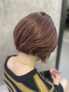 SOLVER×Color - Solver掲載