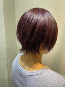 ショートウルフ - Hair make powder天王寺寺田町店掲載