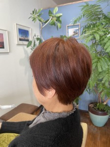 ショートボブ - BONNIE hair design掲載