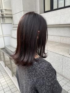 セミウェット質感/ナチュラルアッシュ - Clanc横浜(クラン)掲載