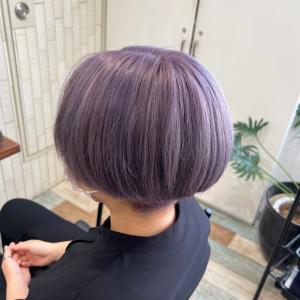 ペールバイオレット - AUFES 福島店掲載